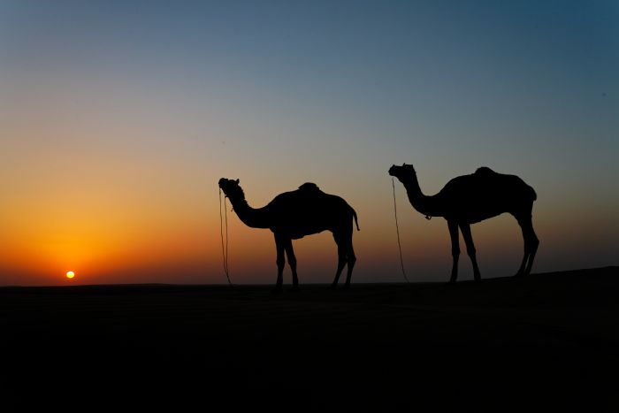 Auberge Dar Aghane Hotel Ouarzazate Riad Ouarzazate :  loisirs